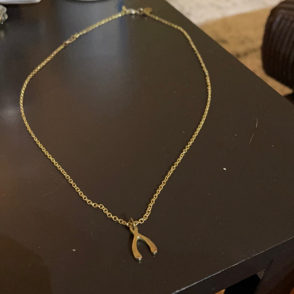 Gold Necklace with Wishbone Pendant